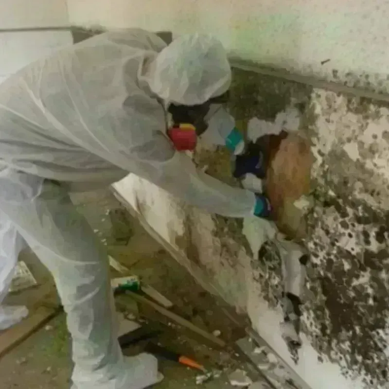 Best Mold Remediation and Removal Service in Tishomingo, OK