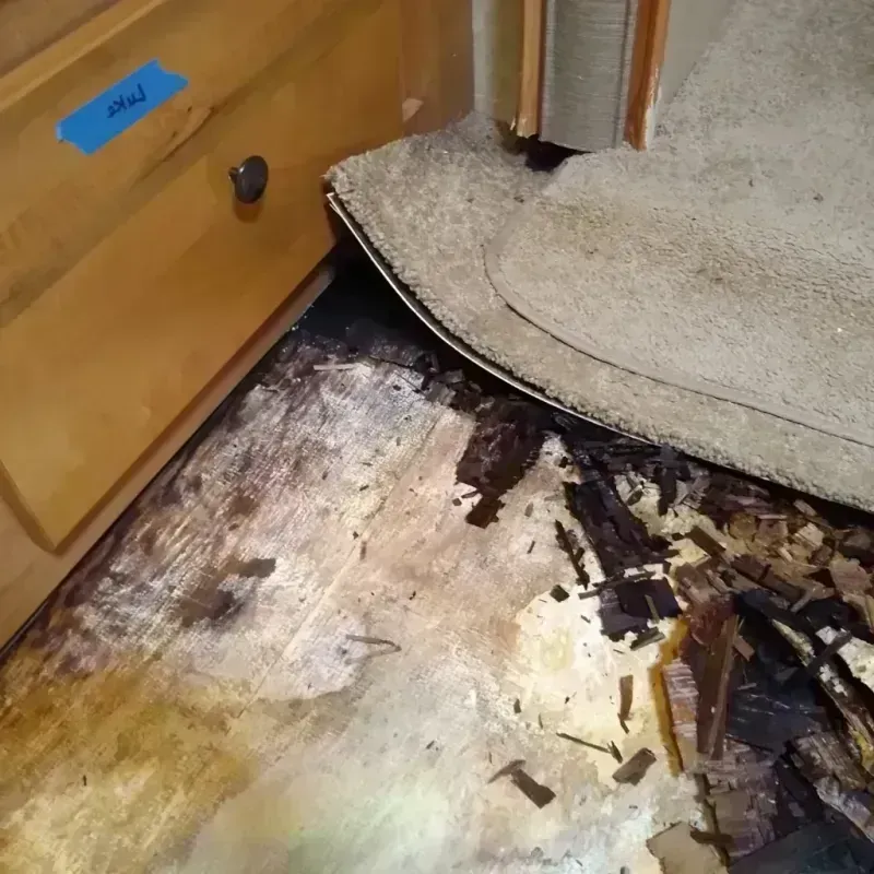 Wood Floor Water Damage in Tishomingo, OK